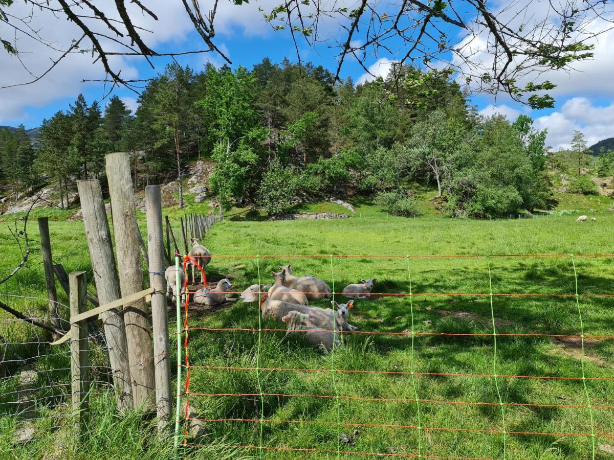 Hygge Pa Fjellet Villa Øyuvstad Екстериор снимка